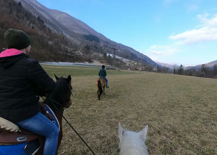 House Tinca Vakantiehuis